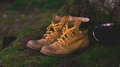 Rein in die Wanderschuhe und auf geht's zum Walderlebnis