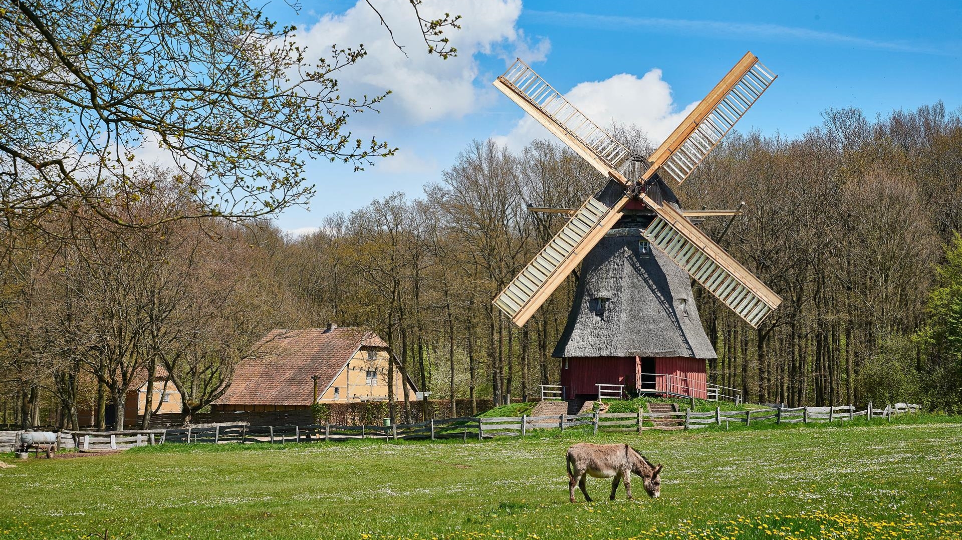 Blick in die Baugruppe Niederrhein, (c) LVR-Freilichtmuseum Kommern, Hans-Theo Gerhards