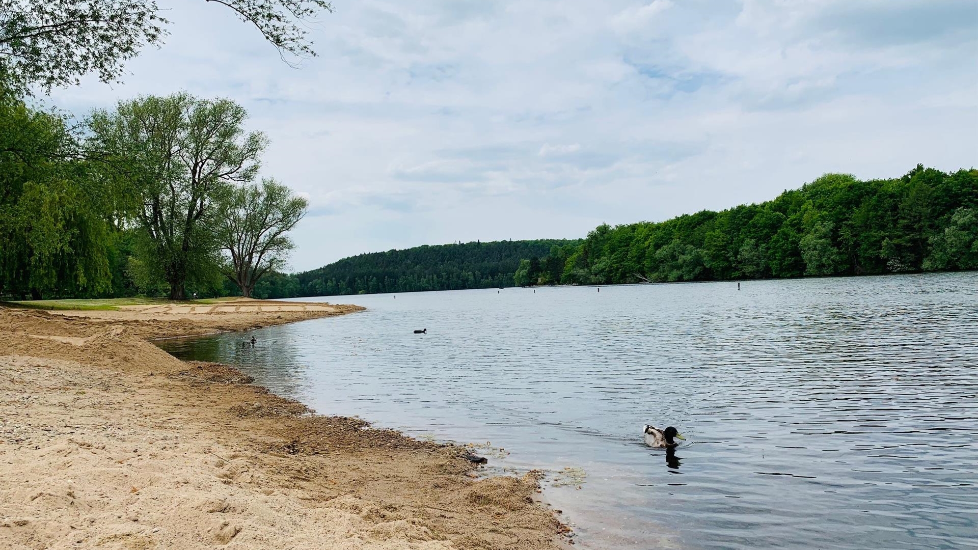 Strandbad Heider Bergsee (c) Stadt Brühl